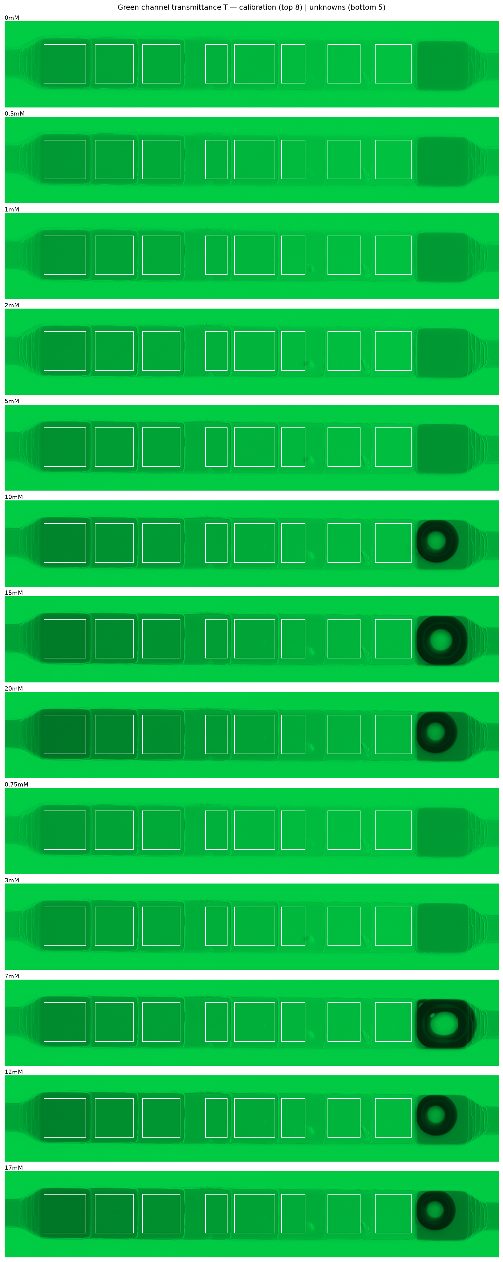 Green channel T images