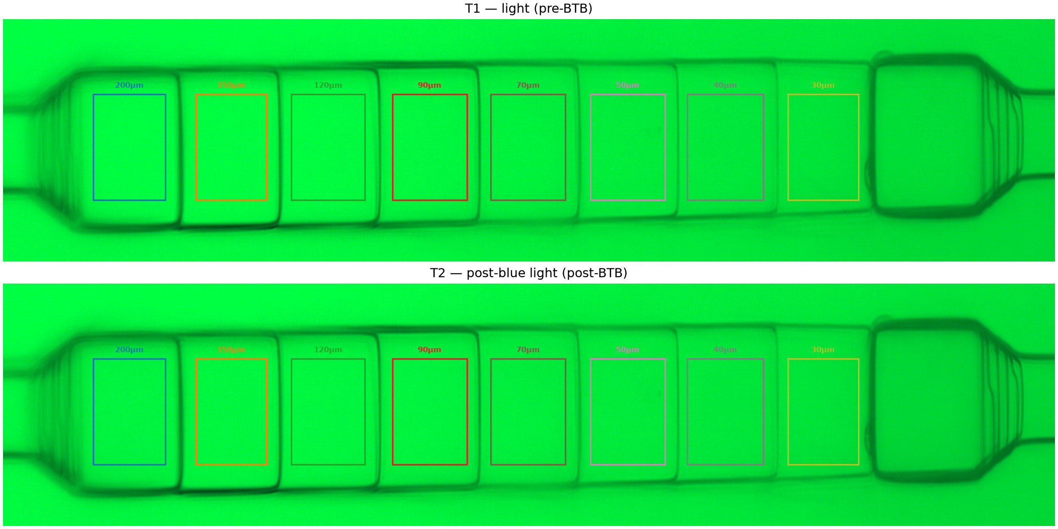 Averaged flat-field images with ROI overlays