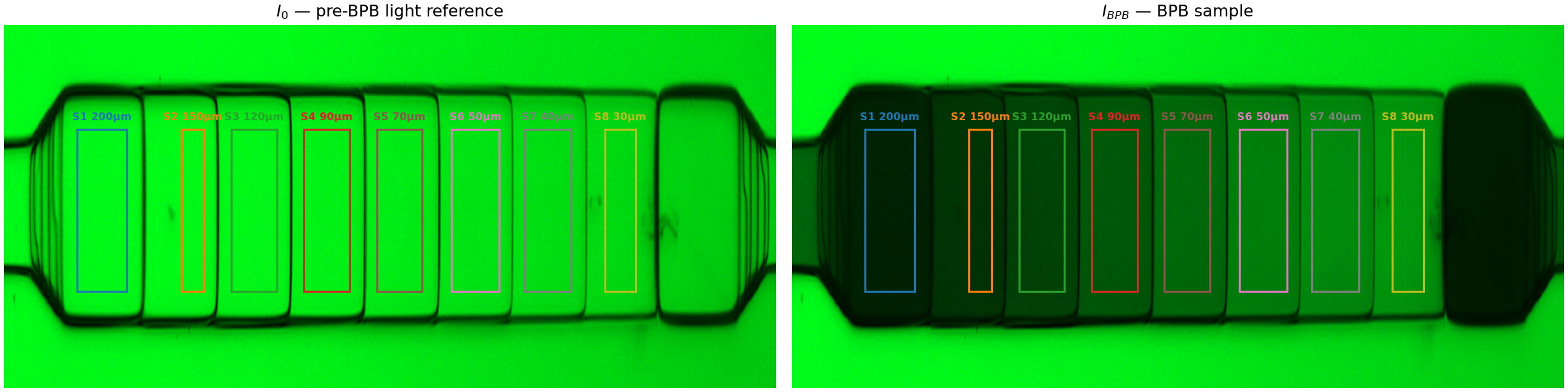 I0 and I_BPB with ROI overlays