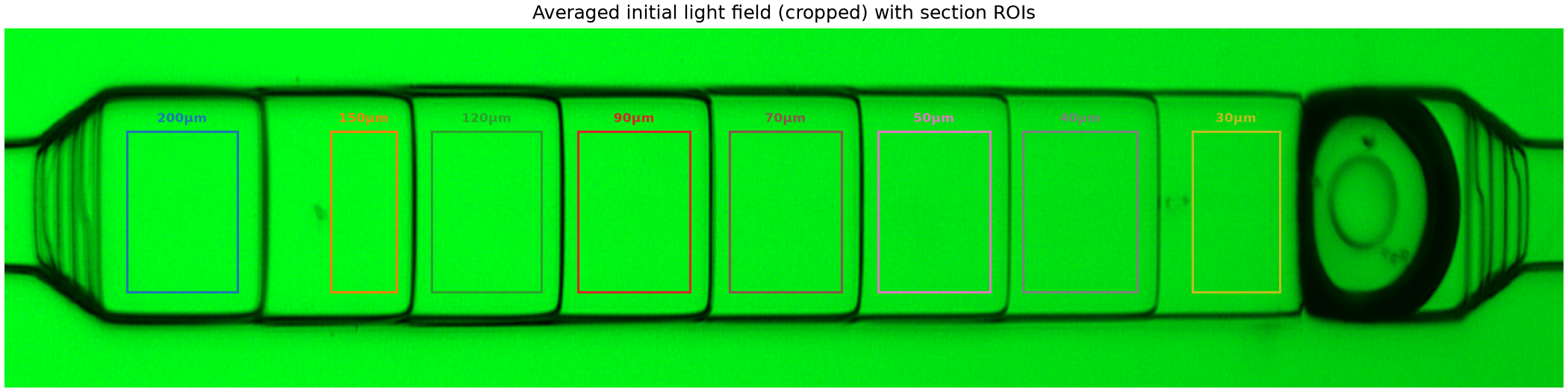 Averaged initial light field with section ROI overlays