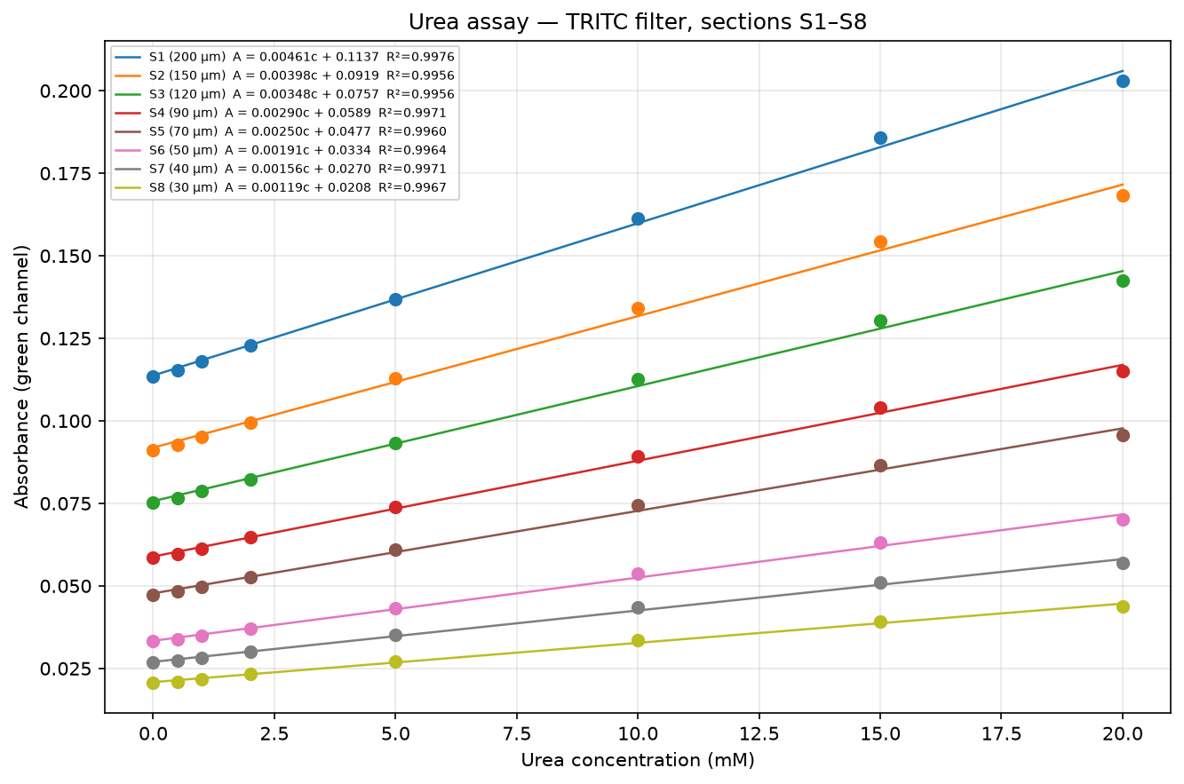 Calibration curves: absorbance vs urea concentration for 8 channel sections