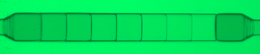 Original 0 mM urea TRITC image (cropped, 2x downsampled, 8-bit)